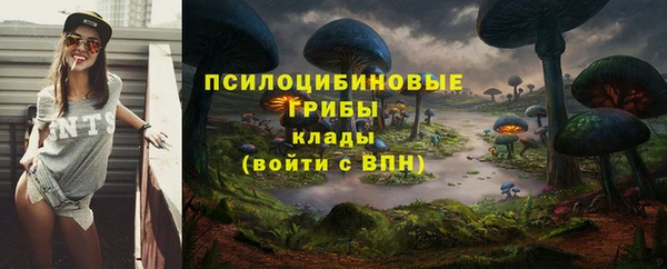 СК Аркадак
