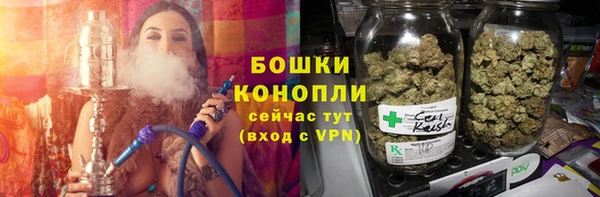 СК Аркадак