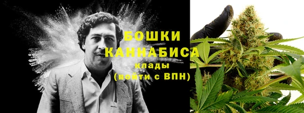 spice Арсеньев
